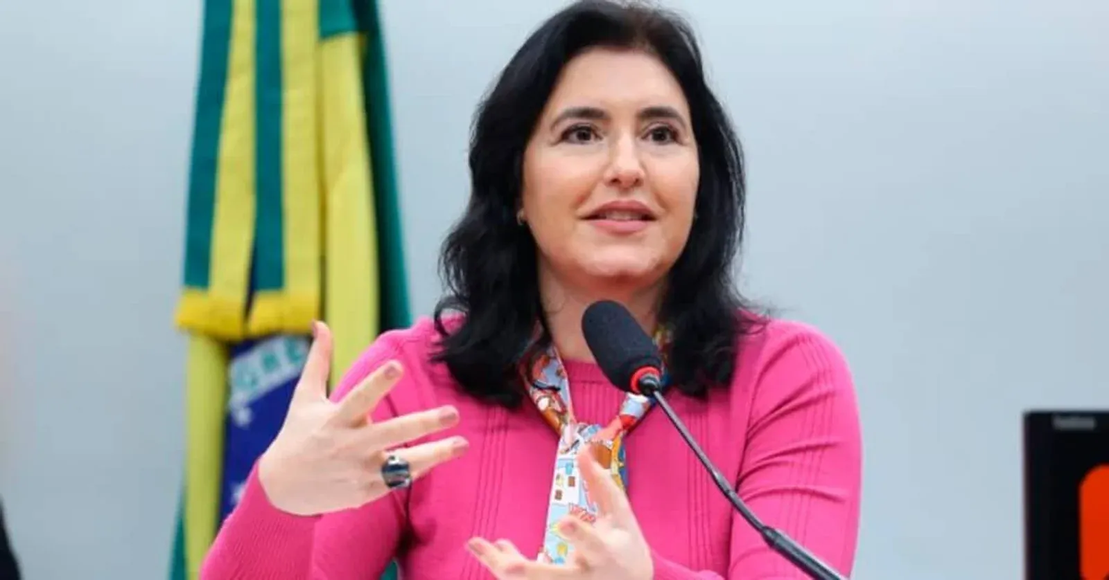 Simone Tebet fala ao microfone com bandeira do Brasil ao fundo.